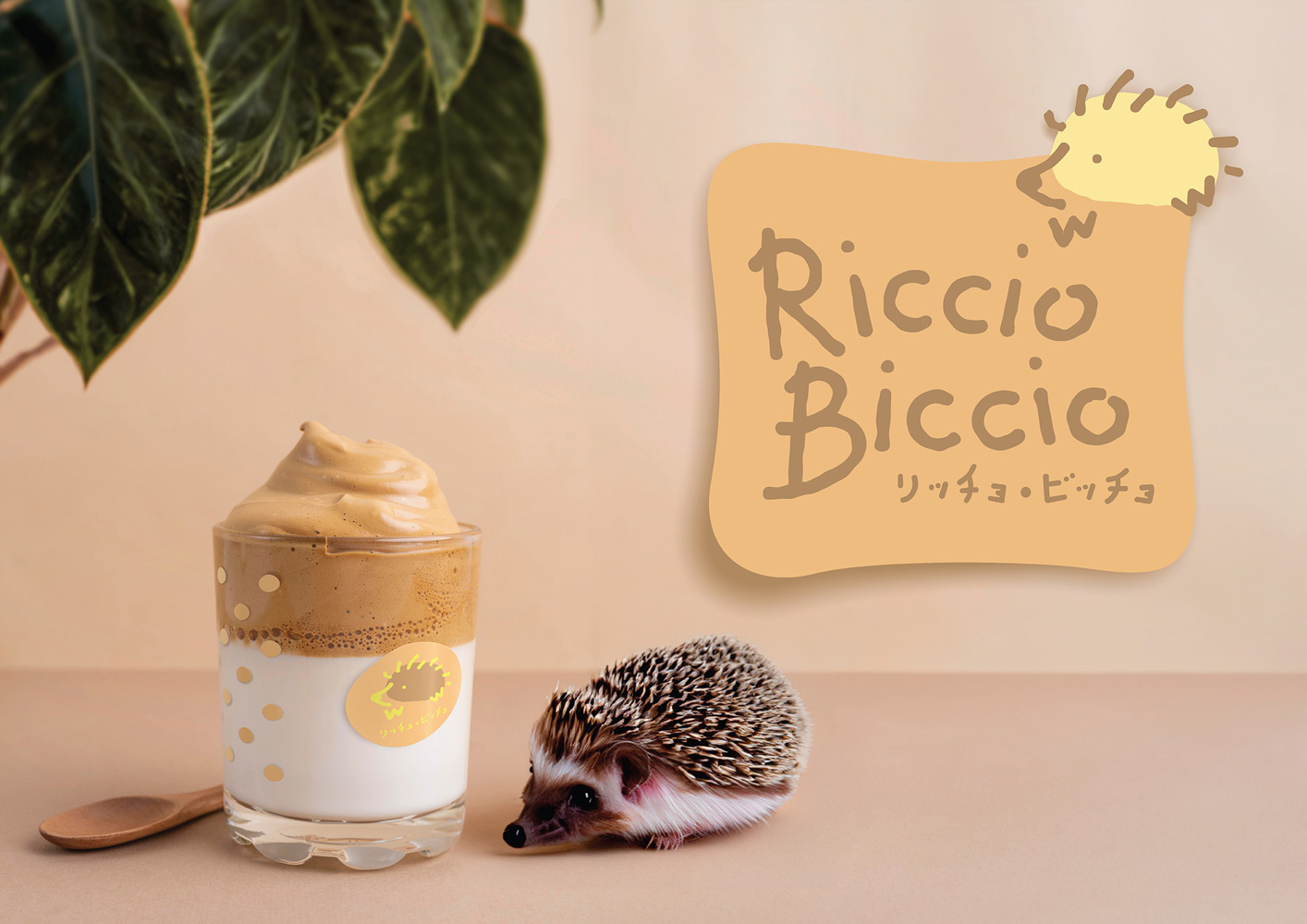Riccio Biccio - a pet cafe with hedgehogs